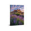 1 Piece Wrapped Canvas Wall Art