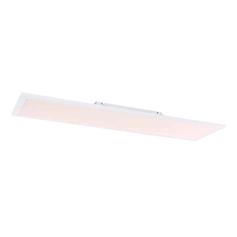 Feinberg 5-Light 120cm LED Flush Mount