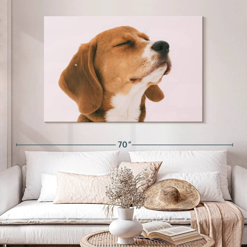 Brampt Beagle
