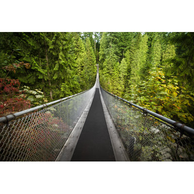 Capilano Suspension Bridge by Pgiam
