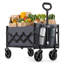 Bilbrey Foldable Camping Cart, Pull Garden Wagon-1436574122