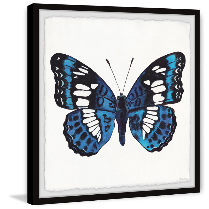 Dazzling Wings - Single Picture Frame Painting, 61cm H x 61cm W x 3.81cm D