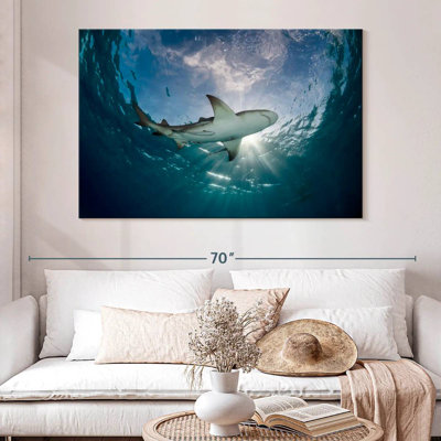 Lemon Shark In The Water