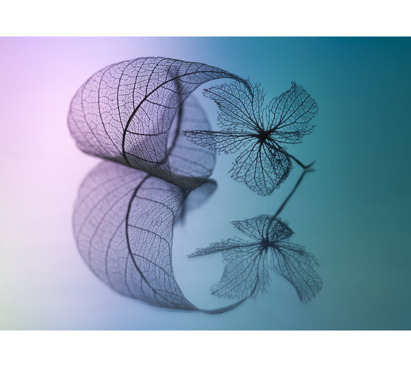 Wrapped Canvas Print, 60.96 cm H x 91.44 cm W