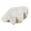 Cole And Grey Polystone Large Textured Shell Decorative White Sculpture