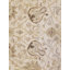 Tapis unique en laine noué à la main brun clair / beige de 12 pi x 18 pi 3 po