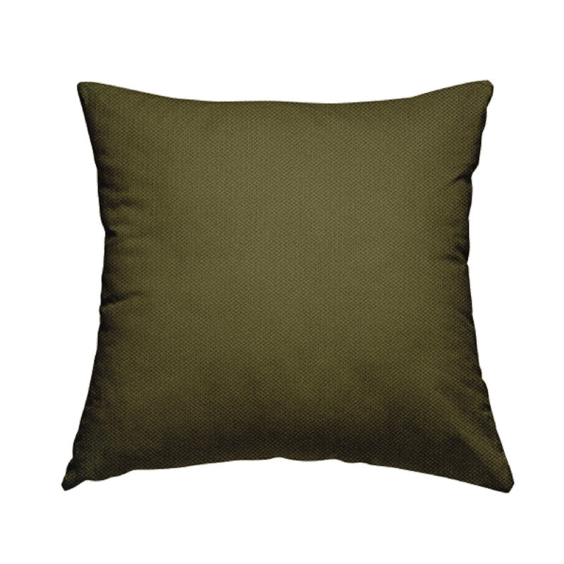 Ervena Rectangular Throw Cushion, Green