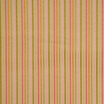 Duck Fabric