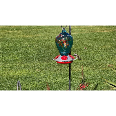 Mangeoire d'oiseaux pour colibris