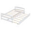 Lit plateforme avec lit gigogne-1910963786