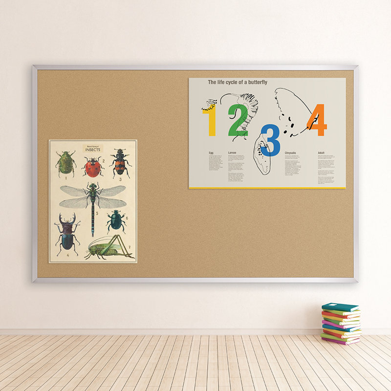 Tableau D'affichage Mural De Valeur-tak, H 1,5 po x l 2 po