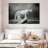 Crowle Dramatic Cougar-111983432