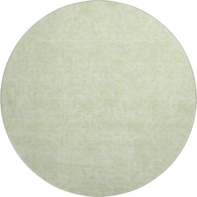 Premium Machine Washable Prisco Aloe Rug