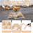 Prevent Rotation Chick Perch