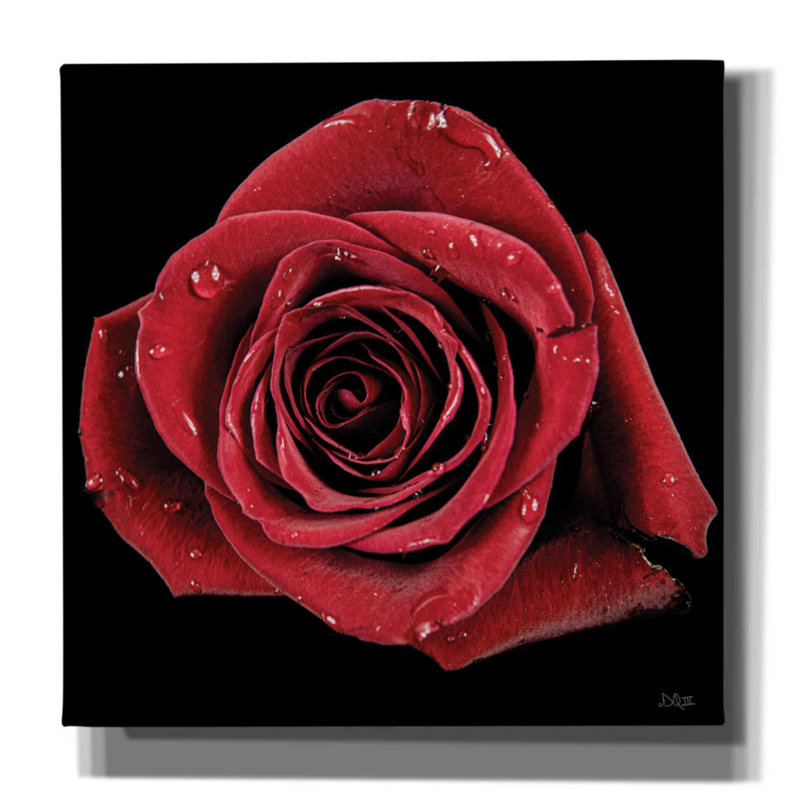 «Broken Heart Rose» par Donnie Quillen, estampe numérique sur toile, H 12 po x l 12 po x P 0,75 po