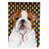 Bouledogue (brun et blanc)