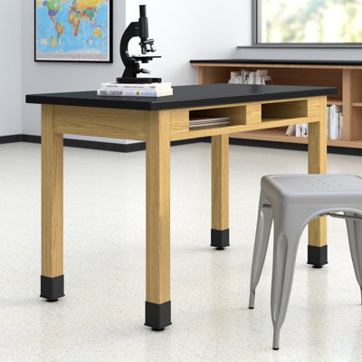 Wood Science Table with Book Compartments