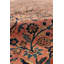 Sarouk Hand Knotted Wool Oriental Area Rug in Rust/Black
