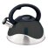 Stainless Steel Whistling Tea Kettle, 3-Quart