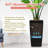 Large 30 In Tall Self - Watering Plant Planter With Drainage Holes, Inner Bucket, And Water Level Monitor, Black Pp Pot For Garden, Patio, Porch, Stabilized Plastic To Wear-1442095678