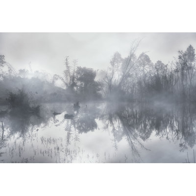 «Leszek Mysterious Foggy Forest», photographie sur toile tendue