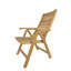 Carina Outdoor Teak Lounge Chair