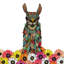 Llama Daisy Love - peinture-965363102-965363073-944886264