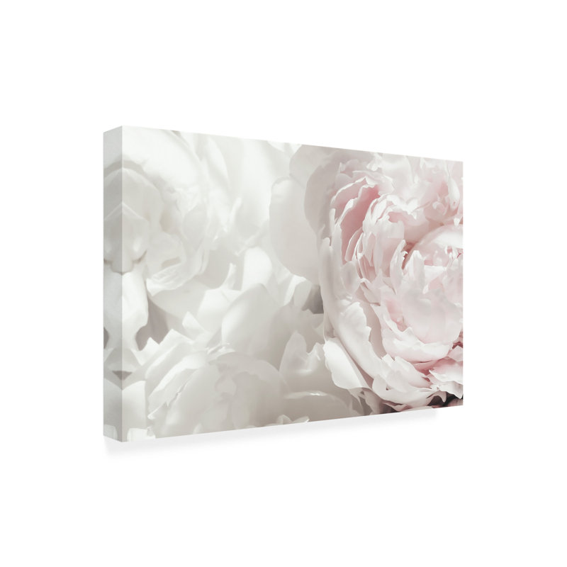 Pivoine moderne et contemporaine sur toile, H 30 po x l 47 po x P 2 po