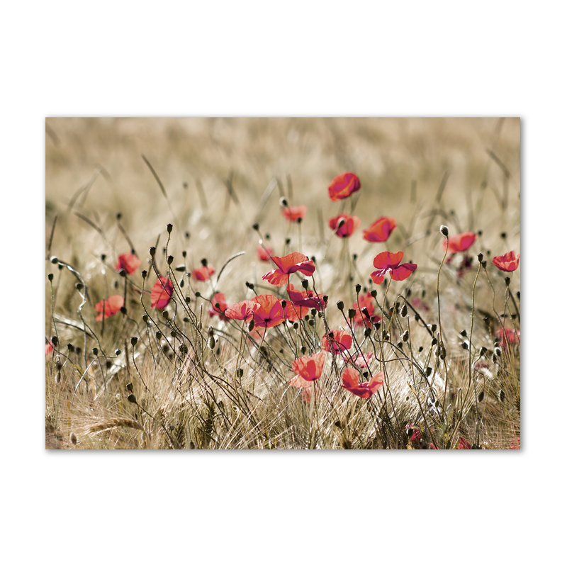 Maki - Wrapped Canvas Print