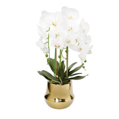 Wayfair  Gold Orchid Faux Flowers You'll Love in 2024