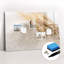 Magnetic Glass Dry Erase Board