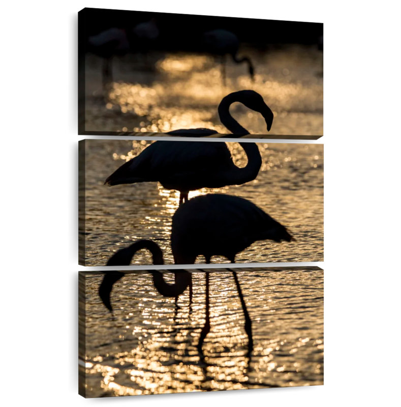 Flamants roses dans le sud de la France I, H 32 po x l 20 po