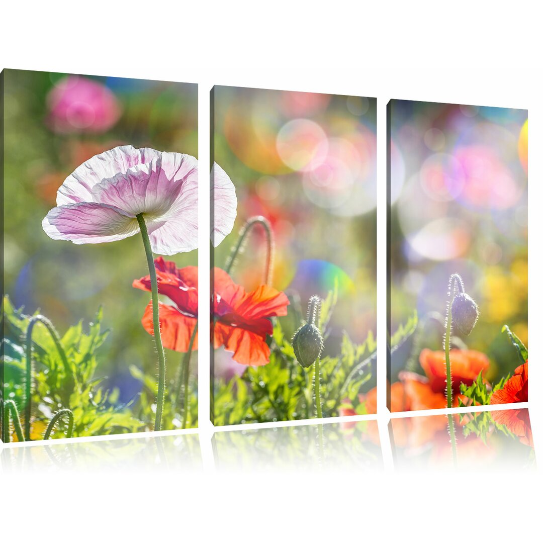 3-tlg. Leinwandbilder-Set Kalifornischer Mohn im Frühling, Fotodruck