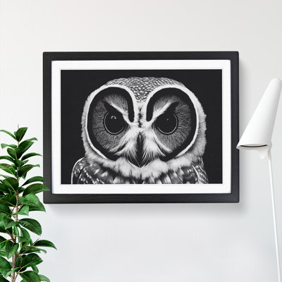Timeless Owl - Single Picture Frame Print