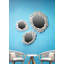 Barnacle Wall Mirror-825259392-825259393