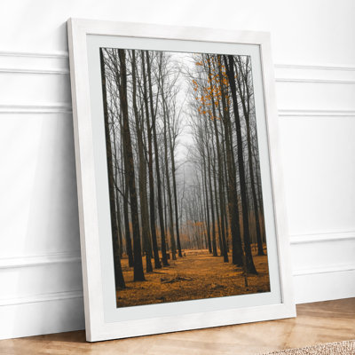 Autumn Avenue Scandinavian - Framed Print