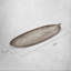 Plateau de table basse Long Leaf-1876486616