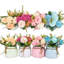 Arrangement de marguerites en pot