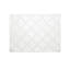 Lenox Laurel Leaf Placemat-1116978582