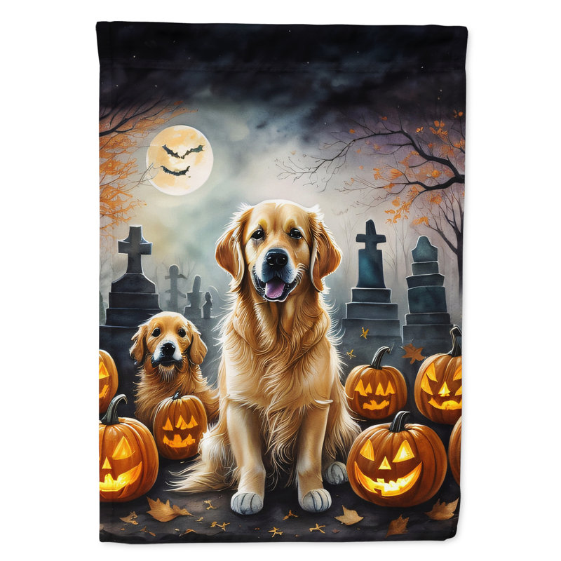 Double Sided 15.5'' H x 11.25'' W Polyester Halloween Garden Flag