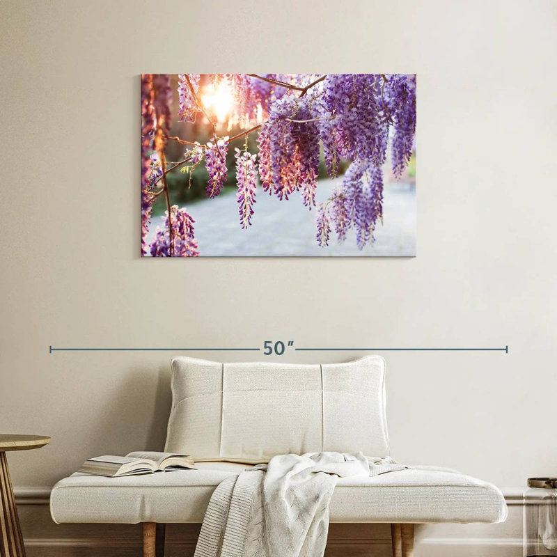 Harnek Wisteria Vine, H 24 po x l 36 po
