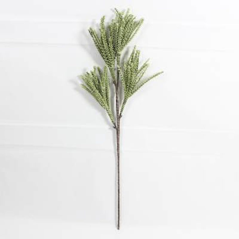 Filtre vase pour plante tropicale douilles Jem