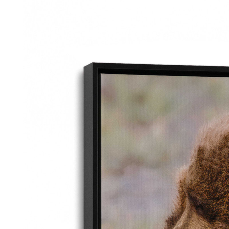 «Bear Hug» par Nathan Larson, reproduction d'art, 20 W x 20 H, Black, Framed Canvas