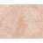 Rose / rose est en rupture de stock