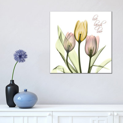 Tulip Love 1 Piece Wrapped Canvas Wall Art