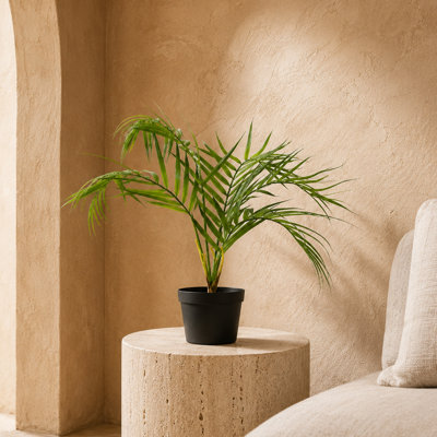 50cm Faux Palm Plant in Pot Liner