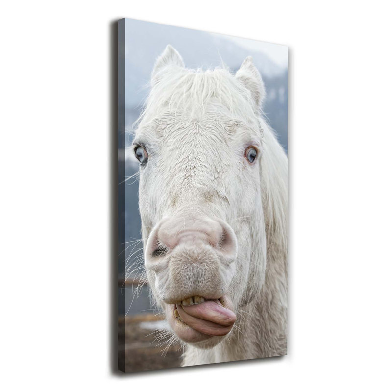 Crazy White Horse - Wrapped Canvas Print