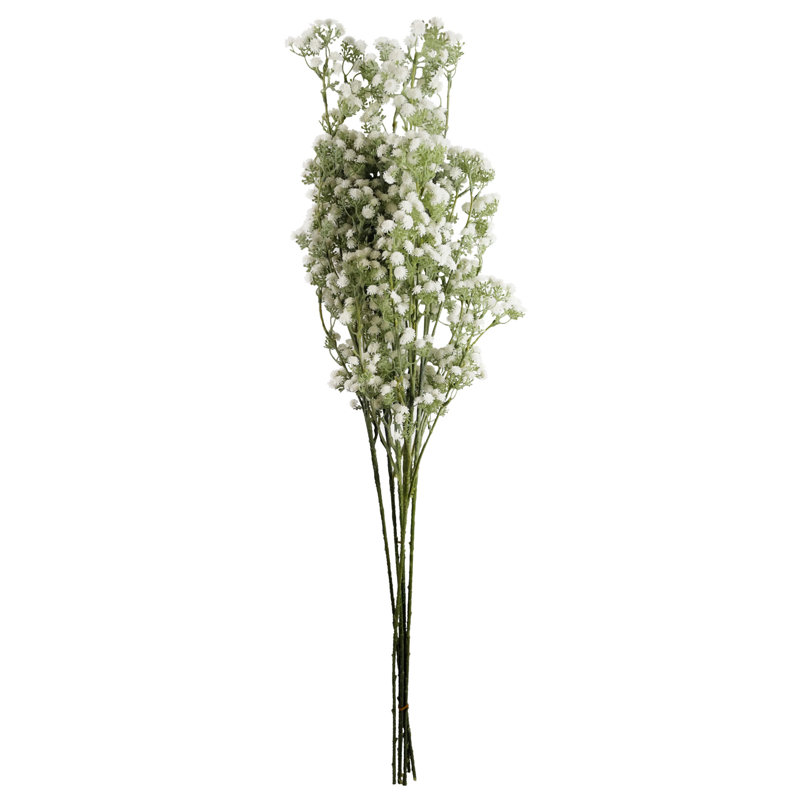 Aneris Arrangement