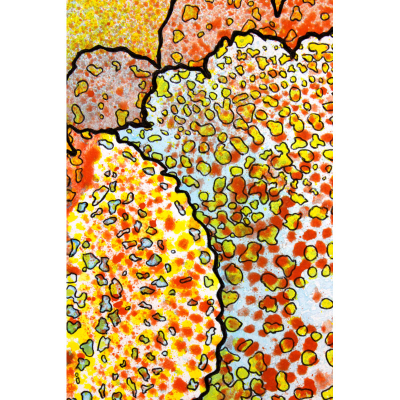 2, Inset C Print by Katie Schutte, 31.25" H x 25.25" W
