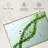 Keiri Botanical DNA-107848611